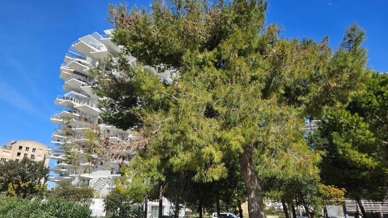 Arbre Blanc, Une Folie Montpellieraine Eksteriør billede
